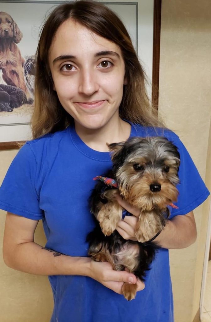 Pet Grooming in Goshen, OH