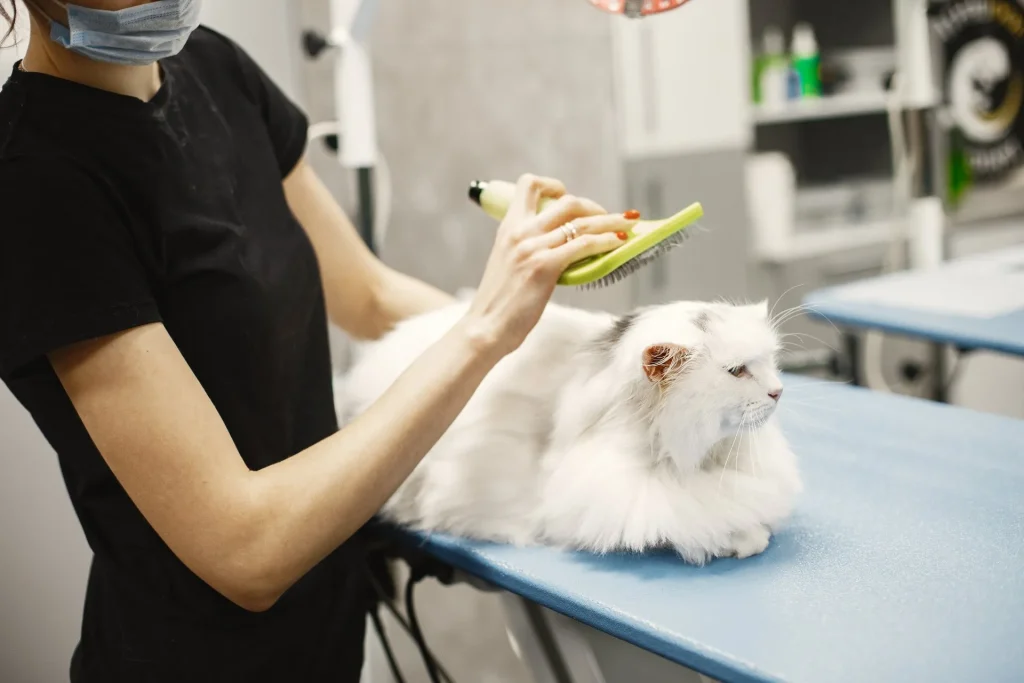 Pet Grooming in Goshen, OH Pet Grooming in Goshen, OH