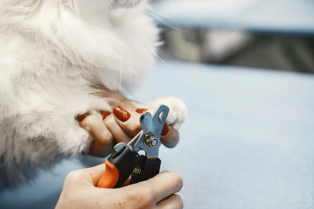 Pet Grooming in Goshen, OH